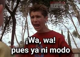 angusgal tweet media