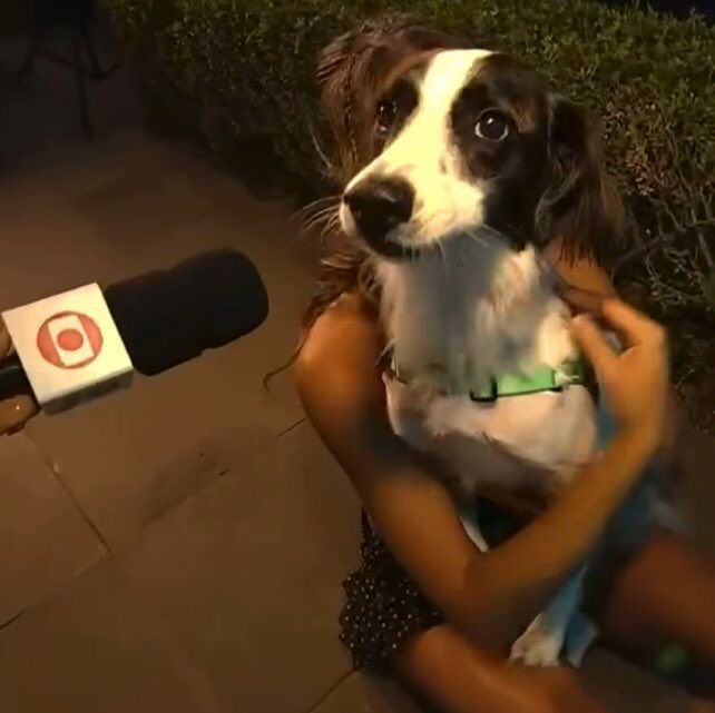 𝗃𝖺𝗎𝗆. tweet media