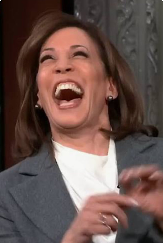 Adam Morgan tweet media