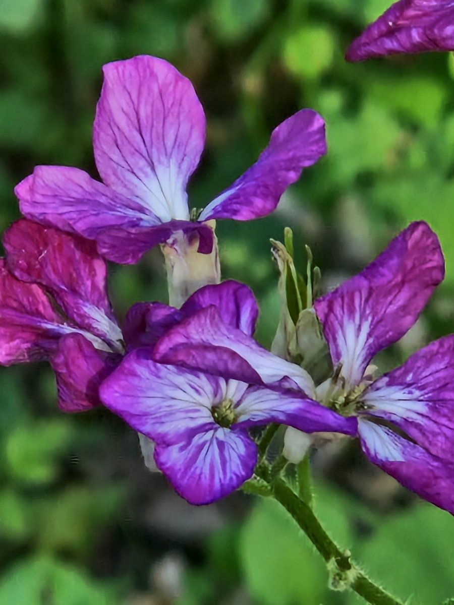 José L Ben tweet media