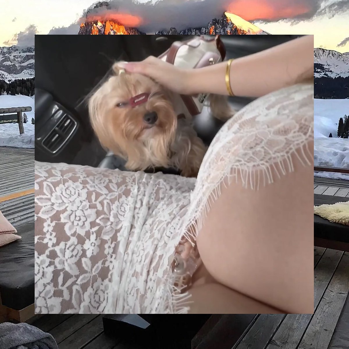 Frank Edge tweet media