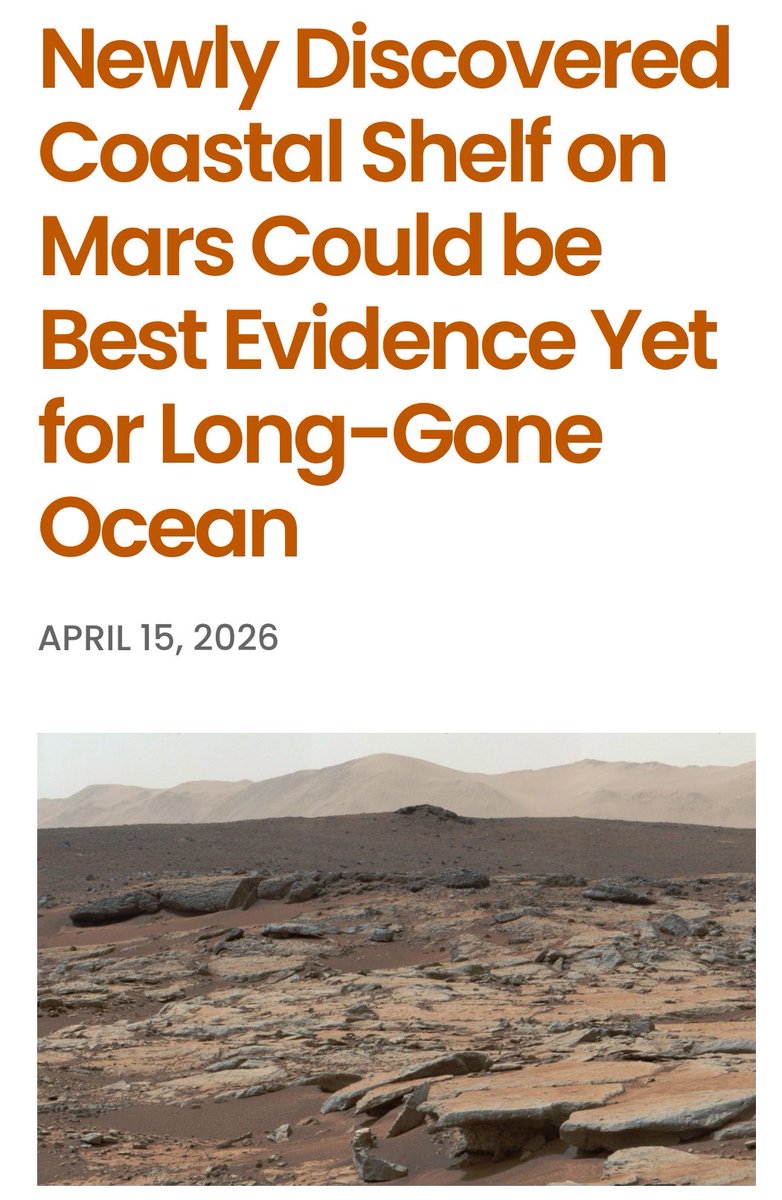 LilHumansBigImpact tweet media