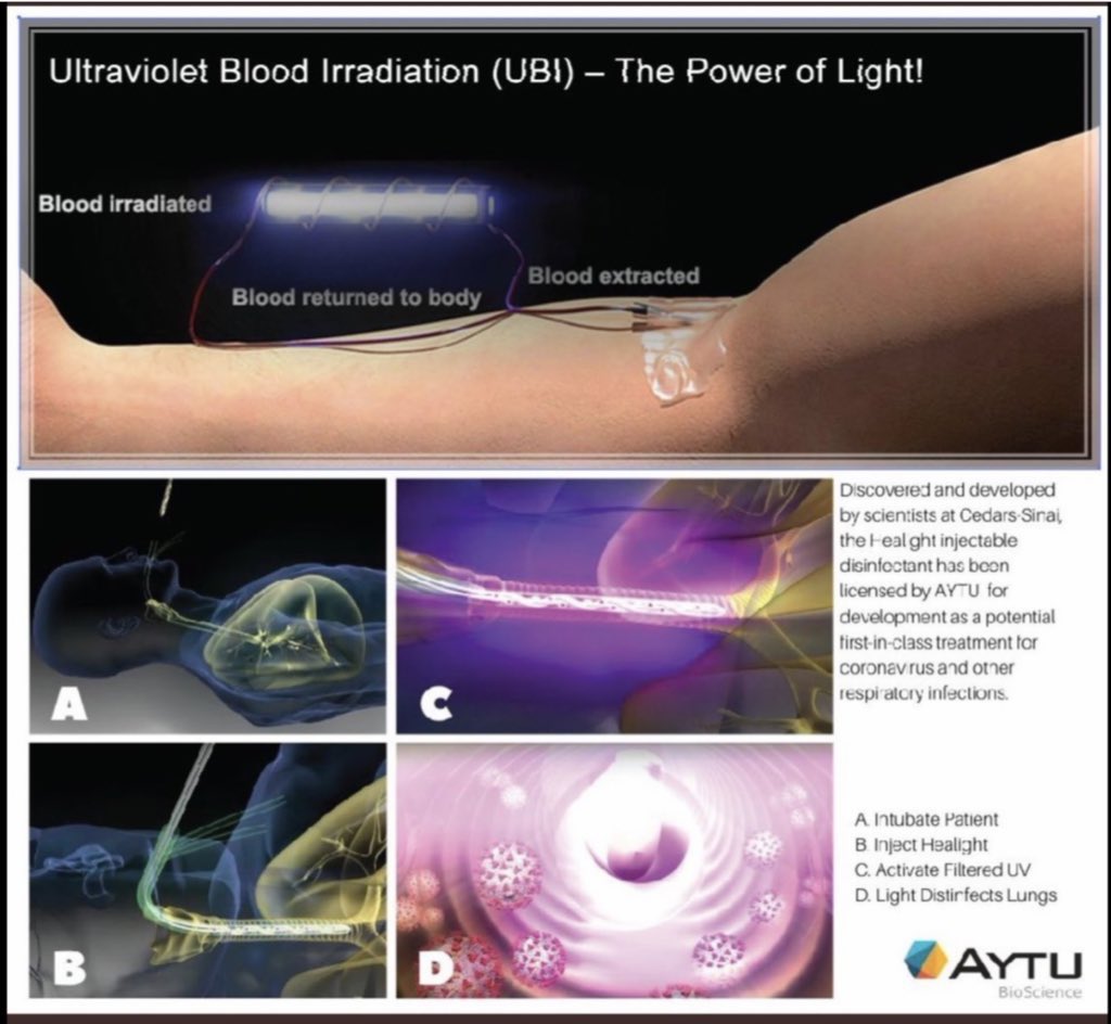 Daydream Believer tweet media