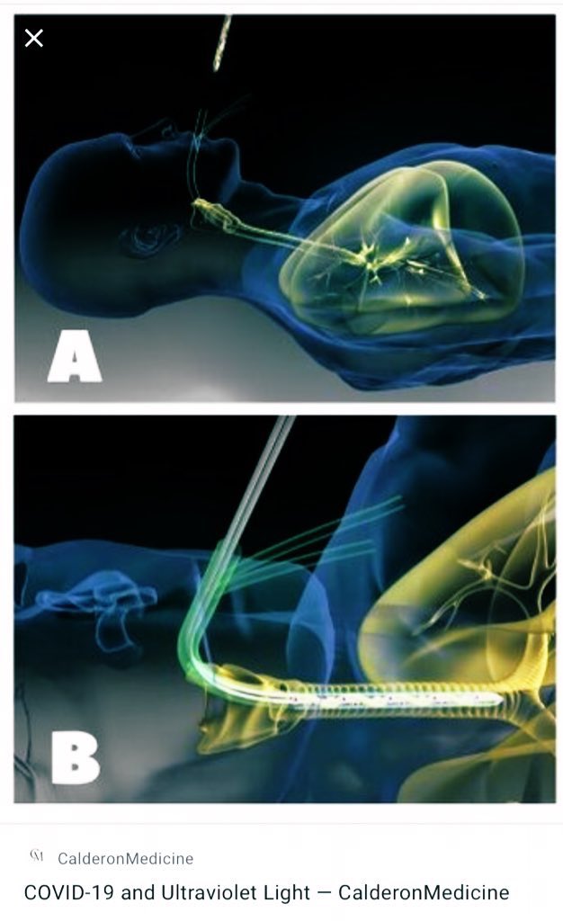 Daydream Believer tweet media