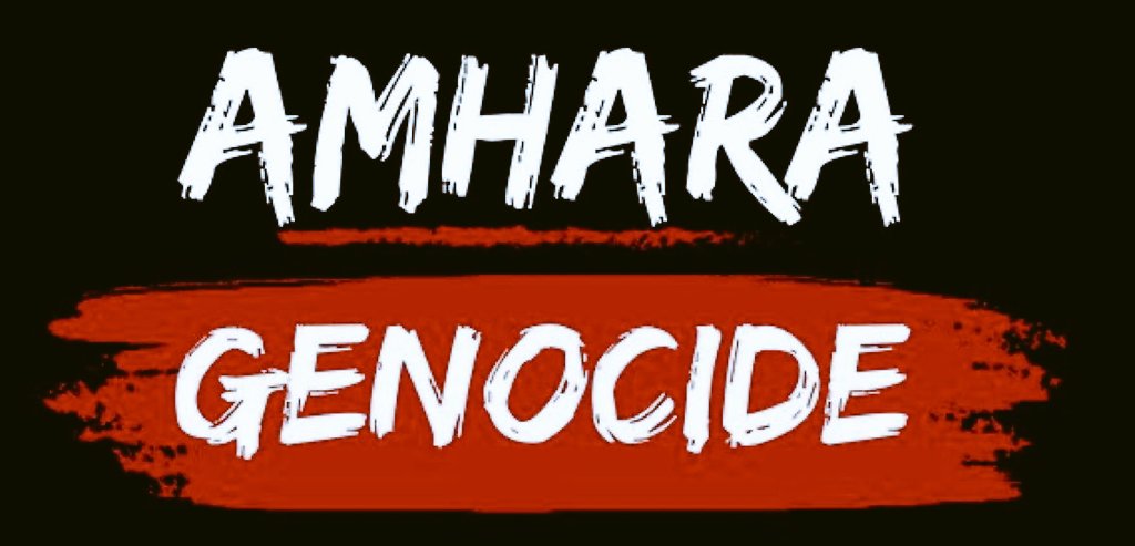 fano_ze1855's tweet image. The Govt. of Ethiopia continues using drones unchecked in populated areas - markets, public gatherings, even churches. The #IC stays silent. Silence in the face of such indiscriminate, devastating attacks is complicity. Time to act. #AmharaGenocide @hrw @amnesty @VP @AP @AFP @UN