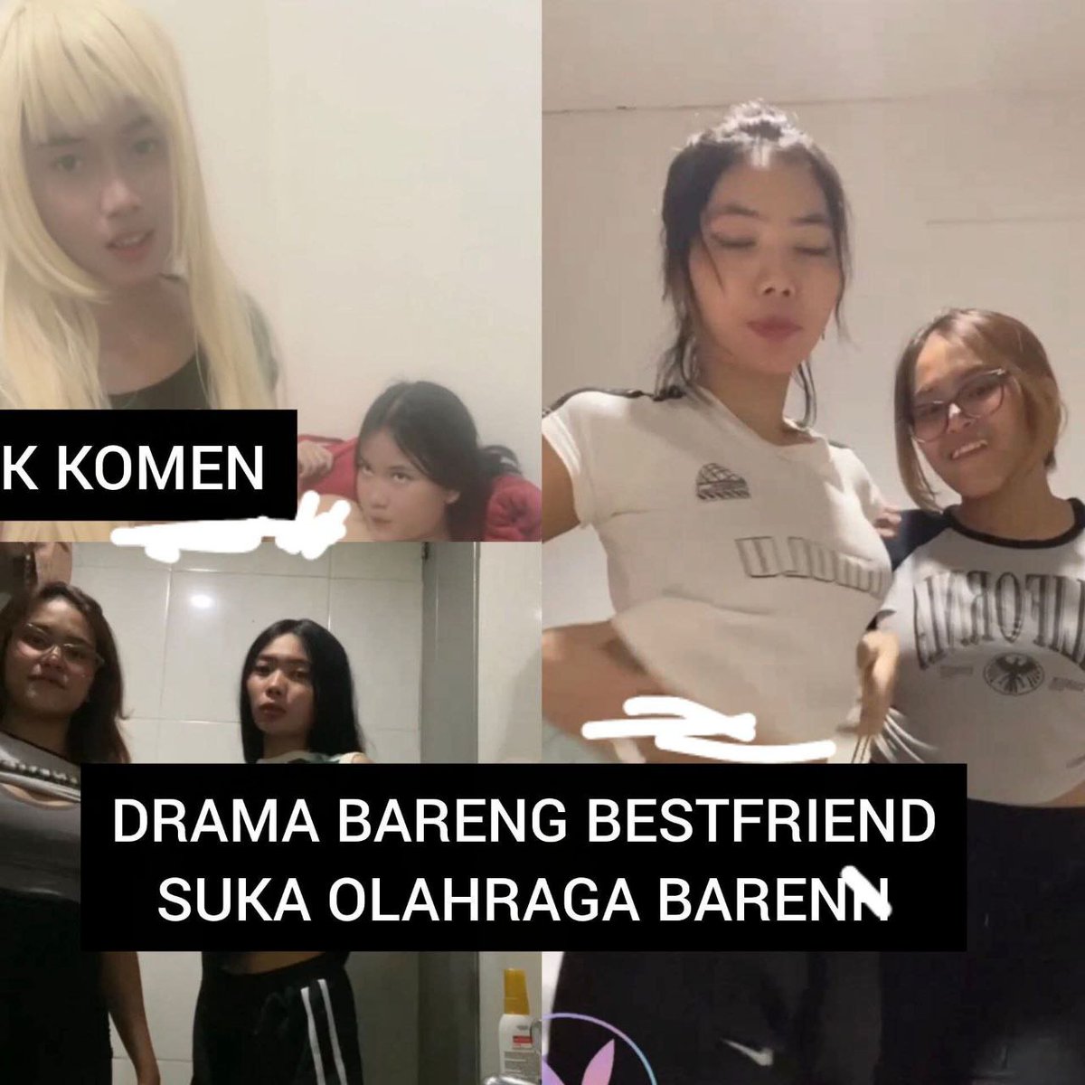 Lupi 🦭 tweet media