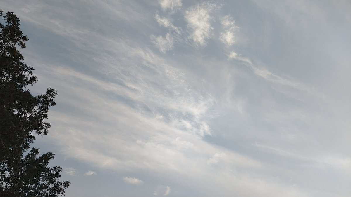 رُميساء. tweet media