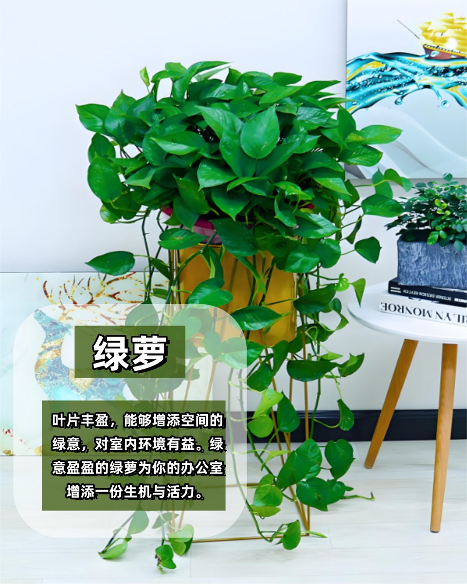 Zo Tulloch tweet media