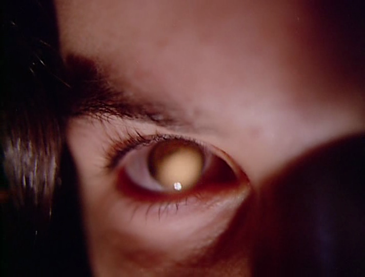 𝓢𝓪𝓷𝓭𝓻𝓪 tweet media