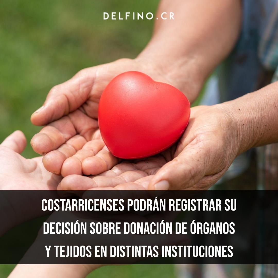 Delfino.CR tweet media