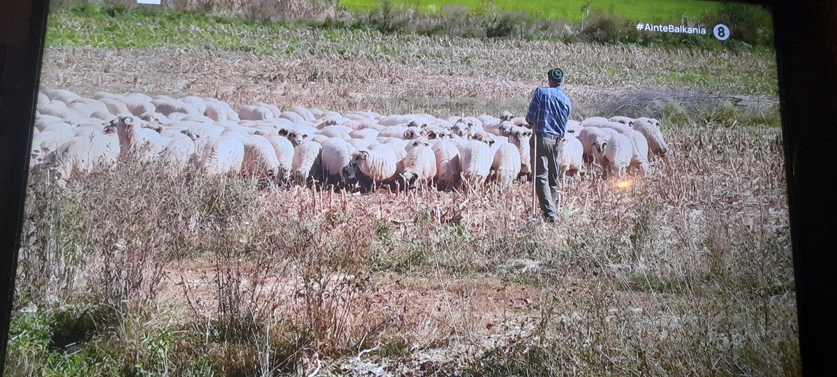 Τίτορμος tweet media