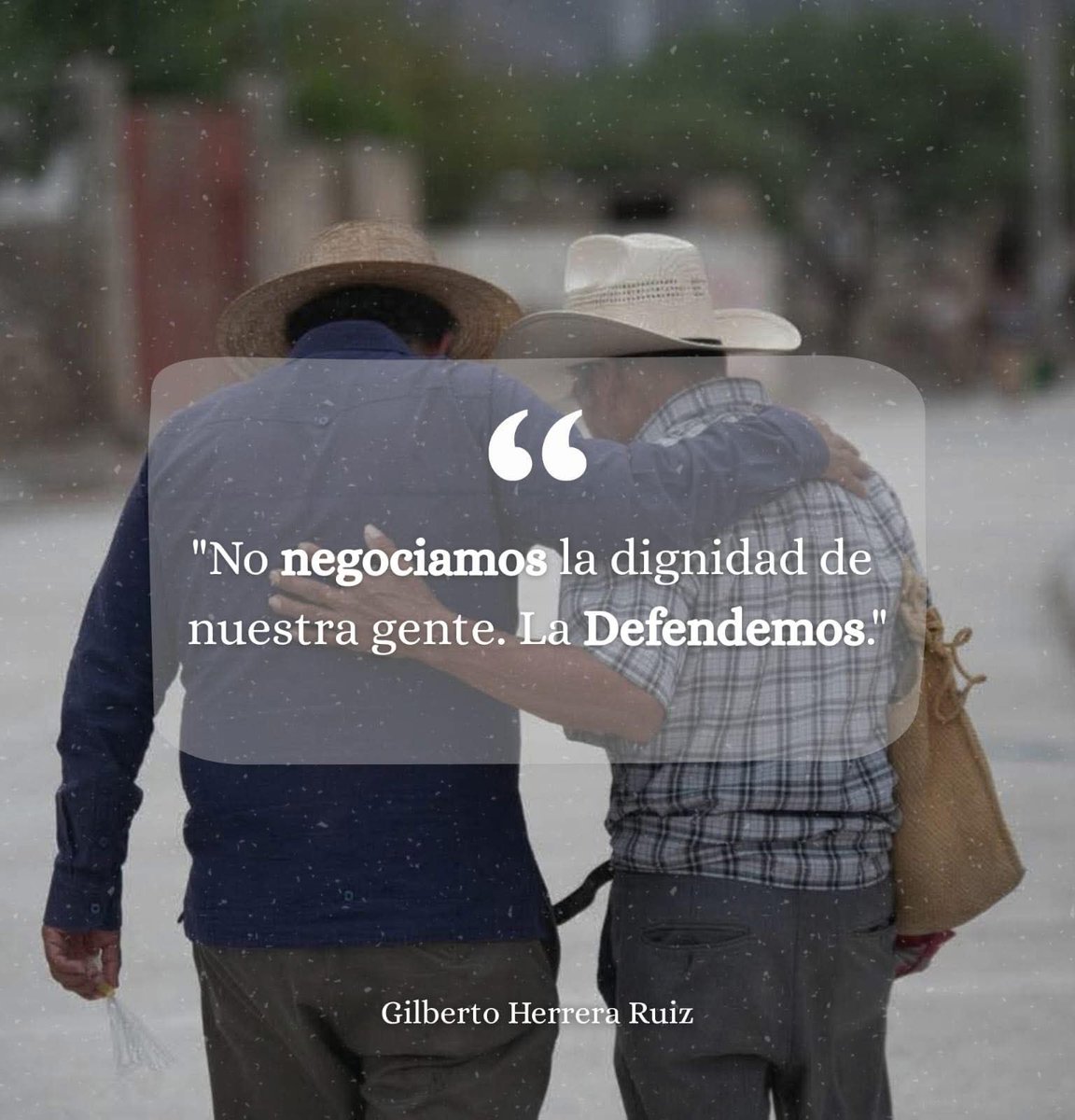 GilbertoConmigo tweet media