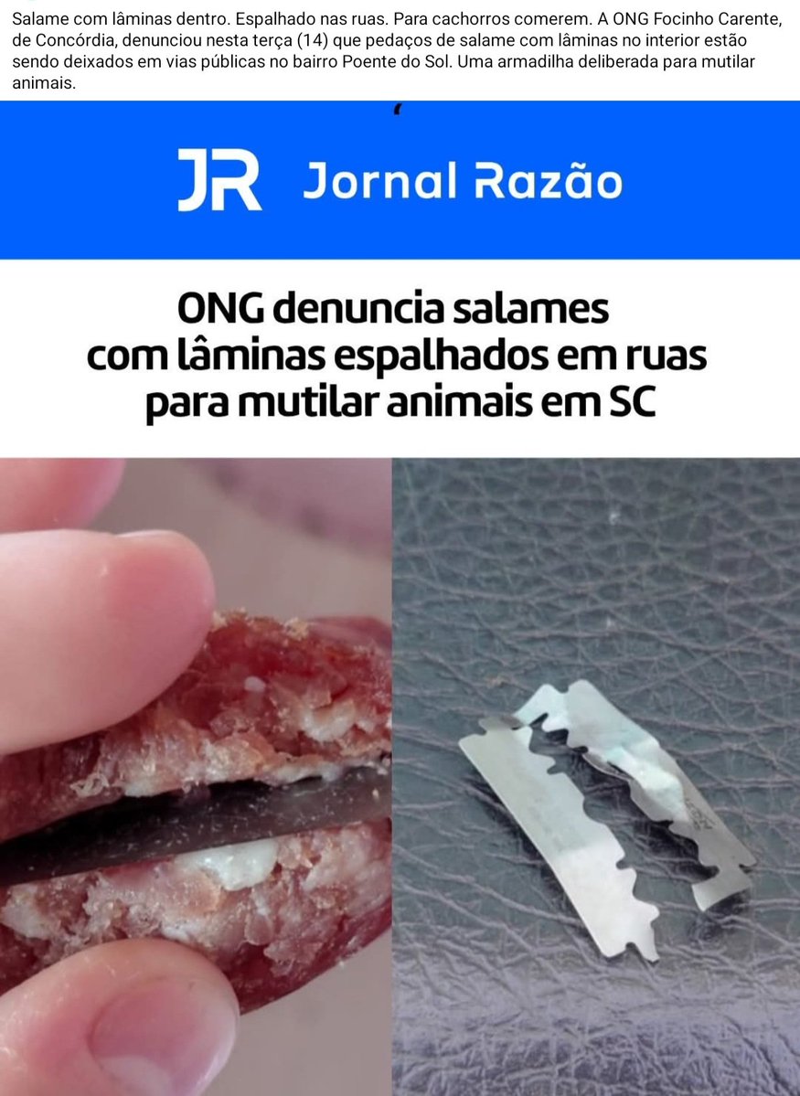 Enfermeiro do Orelha tweet media