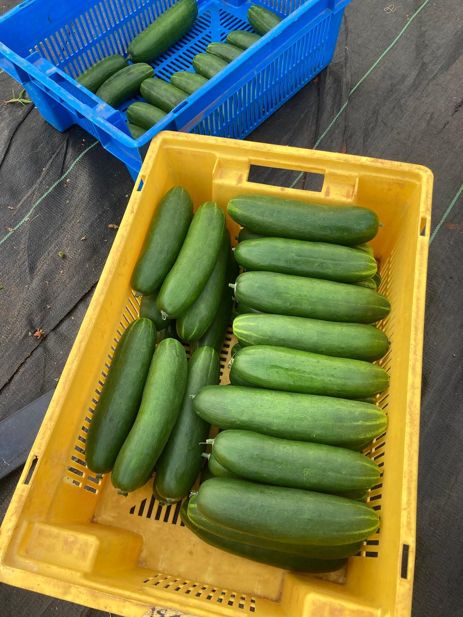 We4Climate tweet media