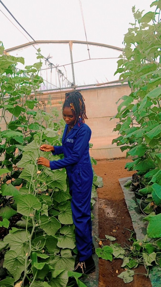 We4Climate tweet media