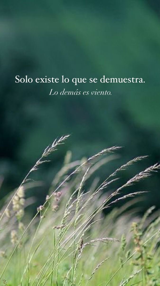 Charo Fernández tweet media