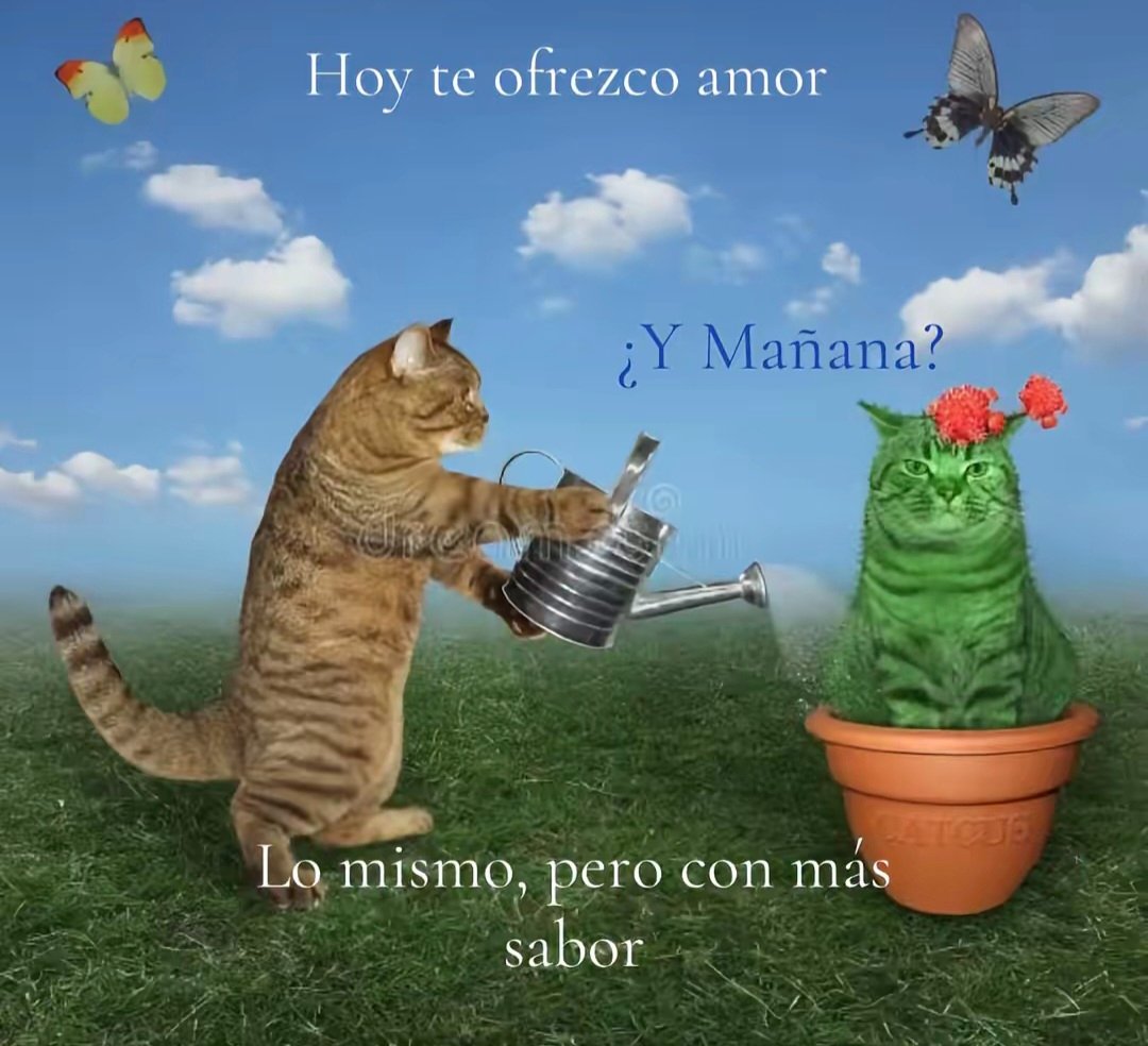 ojoscol0rsol's tweet photo. https://t.co/fgyKoNHCb9
