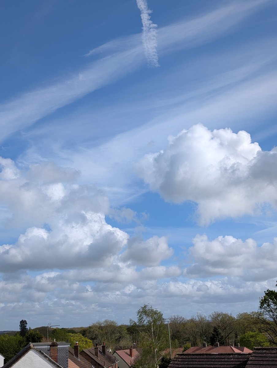 Lin Cork 🏴󠁧󠁢󠁥󠁮󠁧󠁿 tweet media