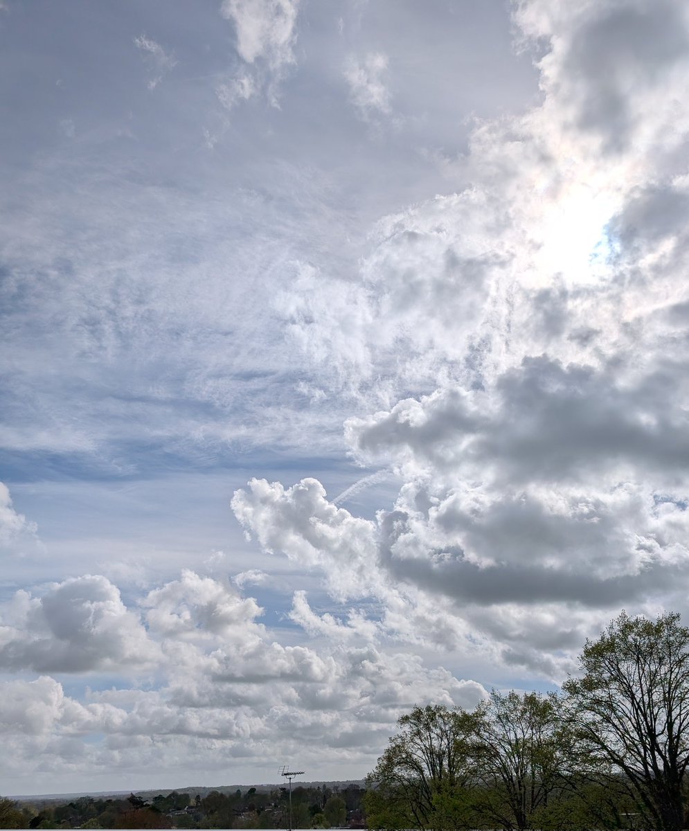 Lin Cork 🏴󠁧󠁢󠁥󠁮󠁧󠁿 tweet media