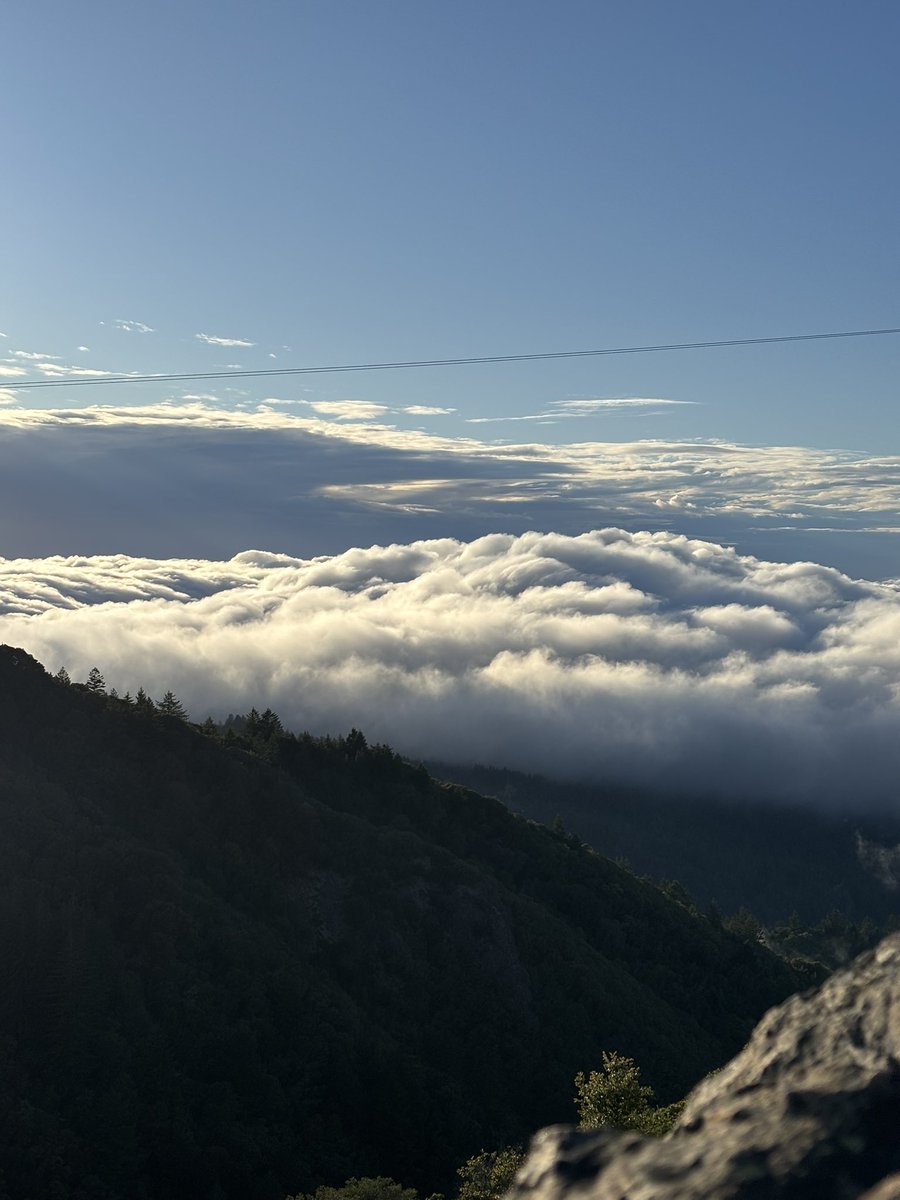 aidan murphy tweet media