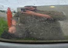 Bloat McQueen tweet media