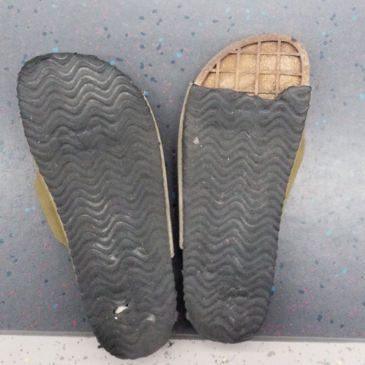 OTIS 🐋 tweet media