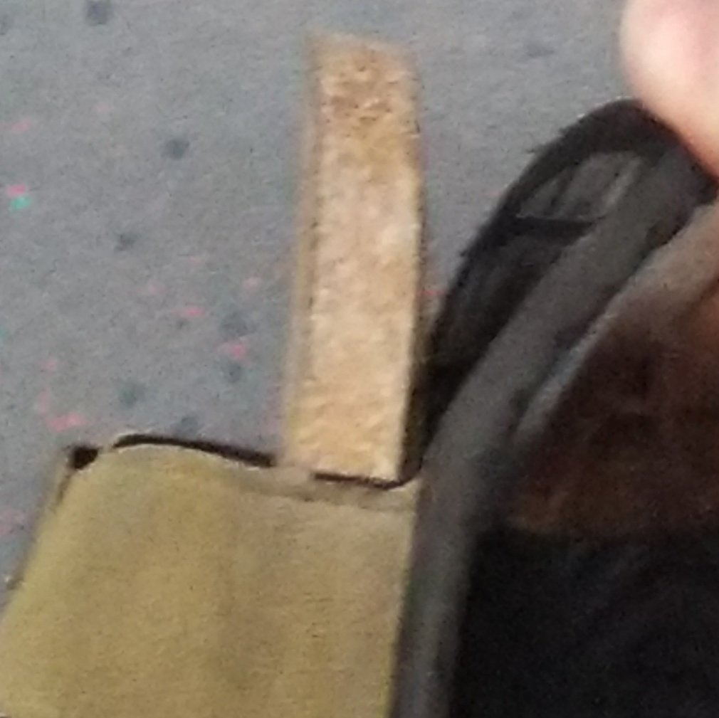 OTIS 🐋 tweet media