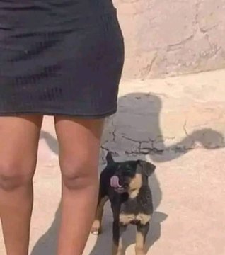 𝐀𝐤𝐚𝐳𝐞𝐞𝐢 𝐤𝐨𝐤𝐮𝐤𝐲𝐚𝐚𝐥𝐨® tweet media