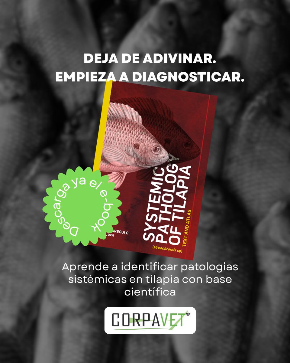 CORPAVET tweet media