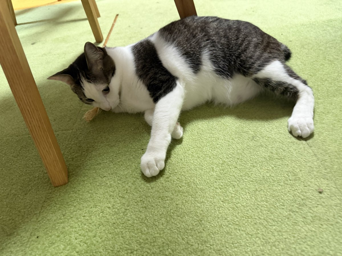 さねあつ tweet media