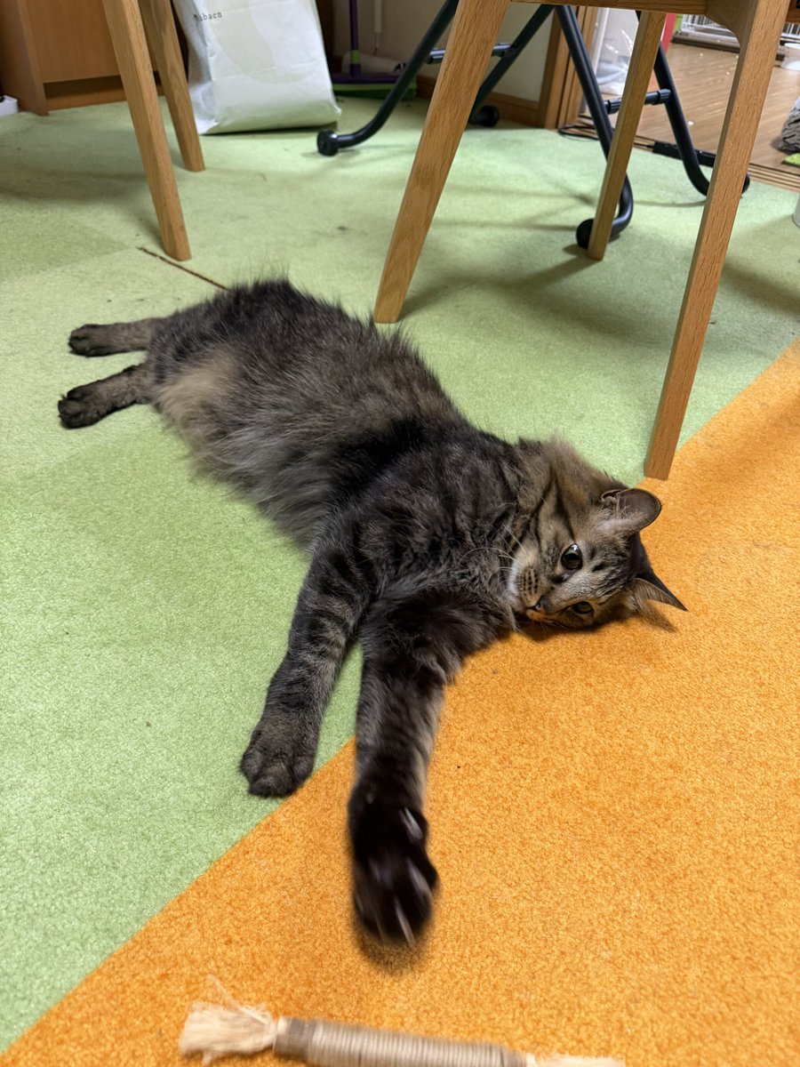 さねあつ tweet media