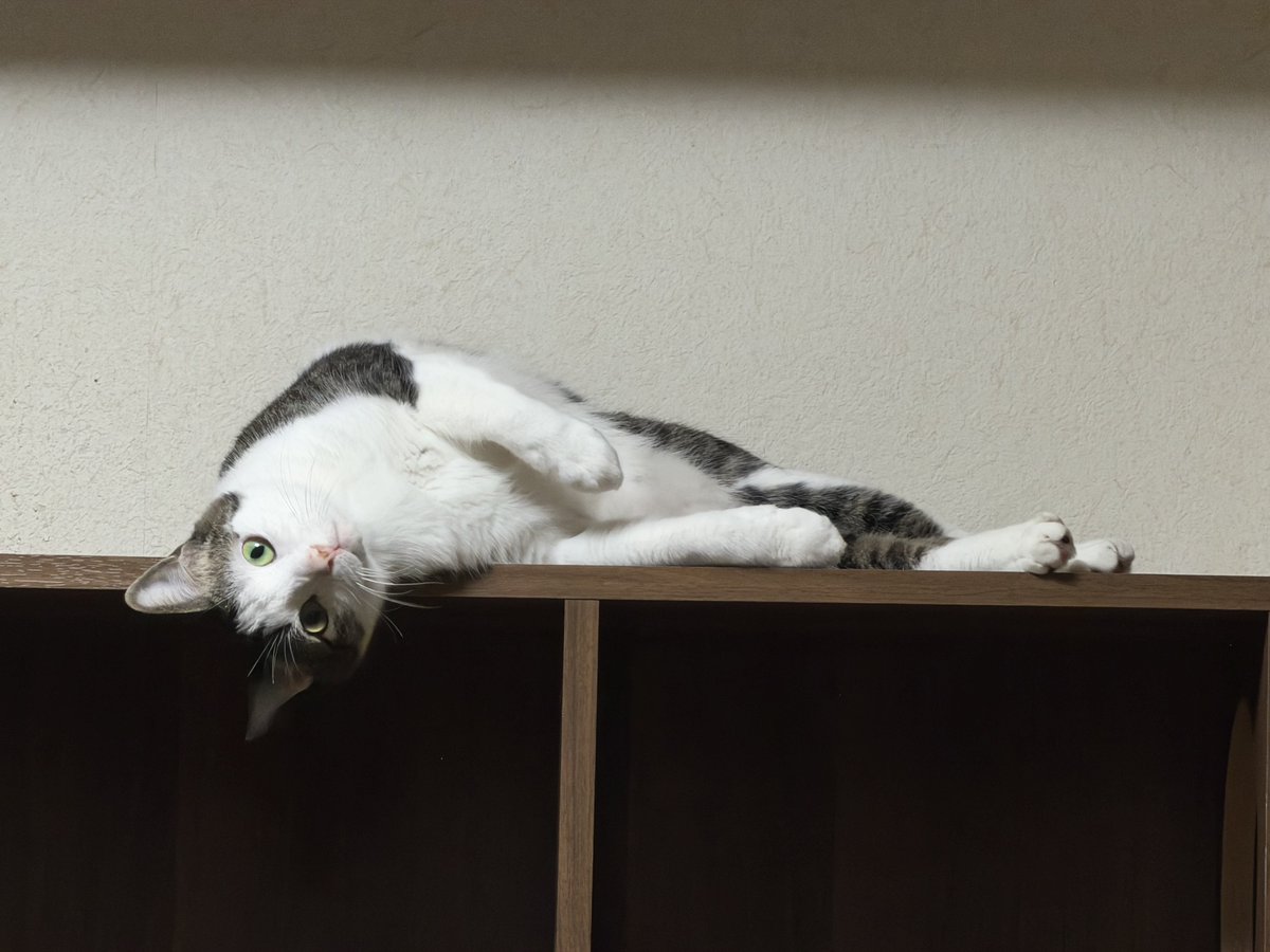 さねあつ tweet media