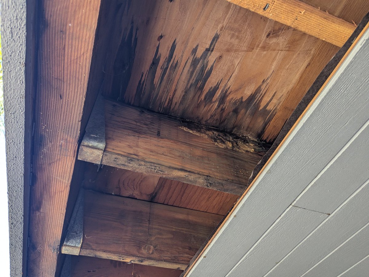 DeckInspector's tweet photo. A Stage 2 SB326 inspection in Pasadena yesterday found lots of damage to the plywood substrate caused by leaks in the deck waterproofing &amp; parapet walls. 

Without doing destructive testing, this damage would have gone unseen and unknown. 

Get inspected, get compliant! https://t.co/quFXvCfCJp
