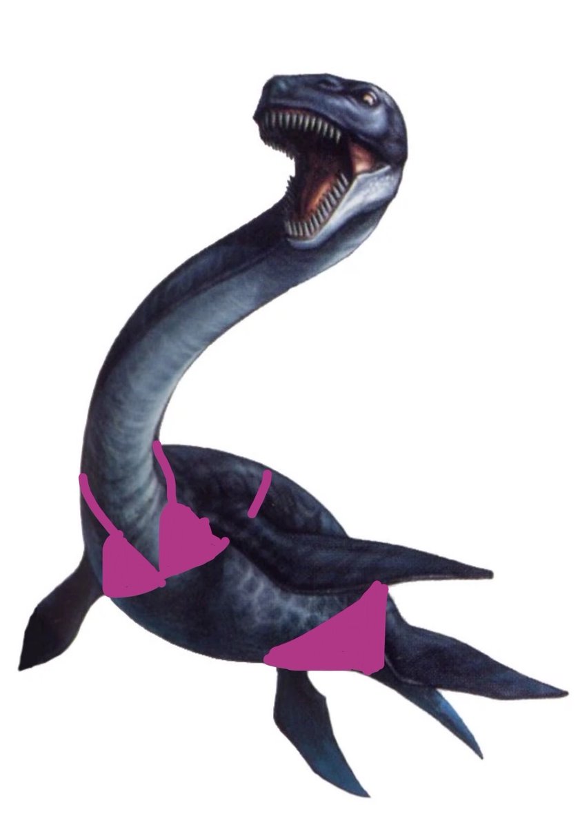 Plesiosaurus tweet media