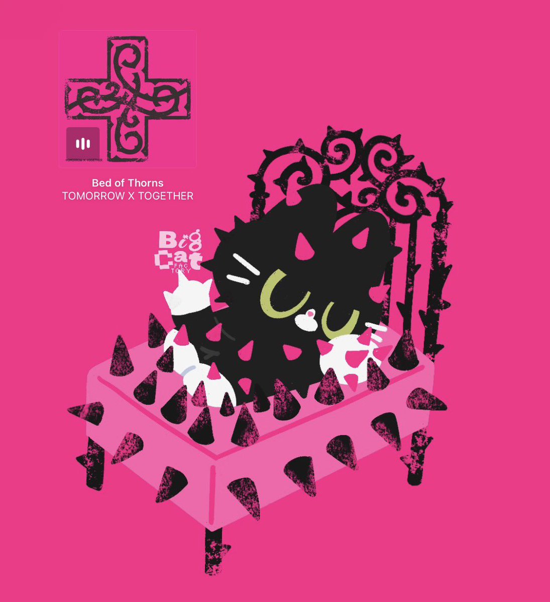 ִ ࣪𖤐 🐈‍⬛Bigcat🍎 tweet media