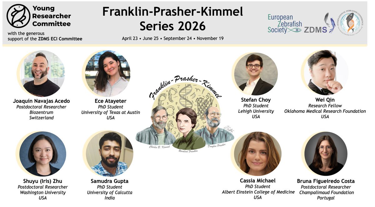 InfoIzfs's tweet image. One week away! Join us for the FPK Webinar Series organized by the IZFS, EZS and ZDMS on 4/23 from 10-11 am EDT with Joaquín Navajas Acedo &amp;amp; Ece Atayeter. Register now: izfs.org/education/webi… 

#IZFS #FreeWebinar #Zebrafish