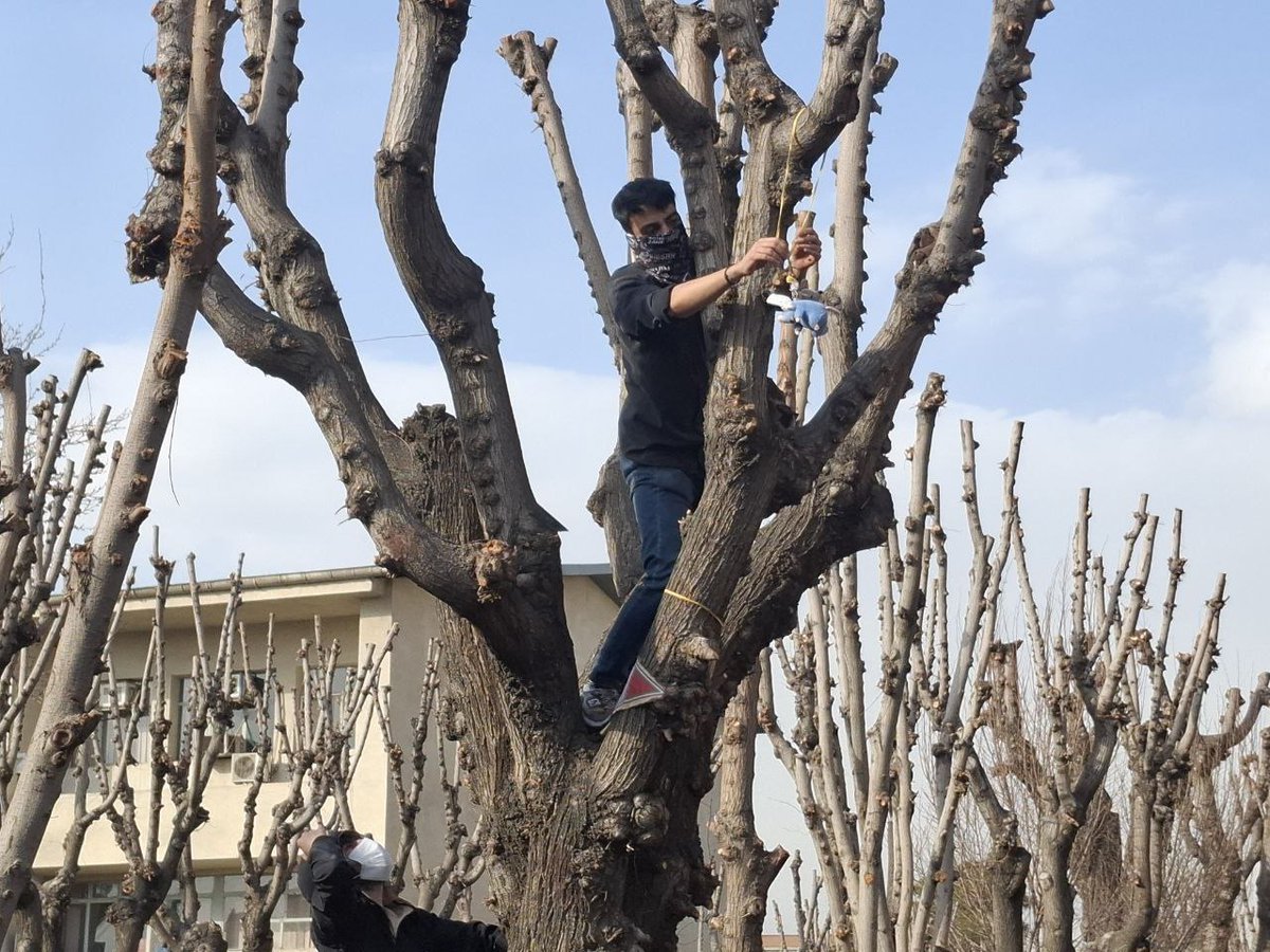 این حرومزاده با ضمانت وپیگیریهای  #وزیر_علوم الدنگ آزاد شده
رضا دالمن،که در دانشگاه #شریف عروسک موش را برای توهین به #رهبر_شهید آویزان کرده بود و #پرچم_ایران را آتیش زده بود،با پیگیری شخص وزیر علوم و وزارت در حین #جنگ_رمضان آزاد شده است.
#قوه_قضائیه