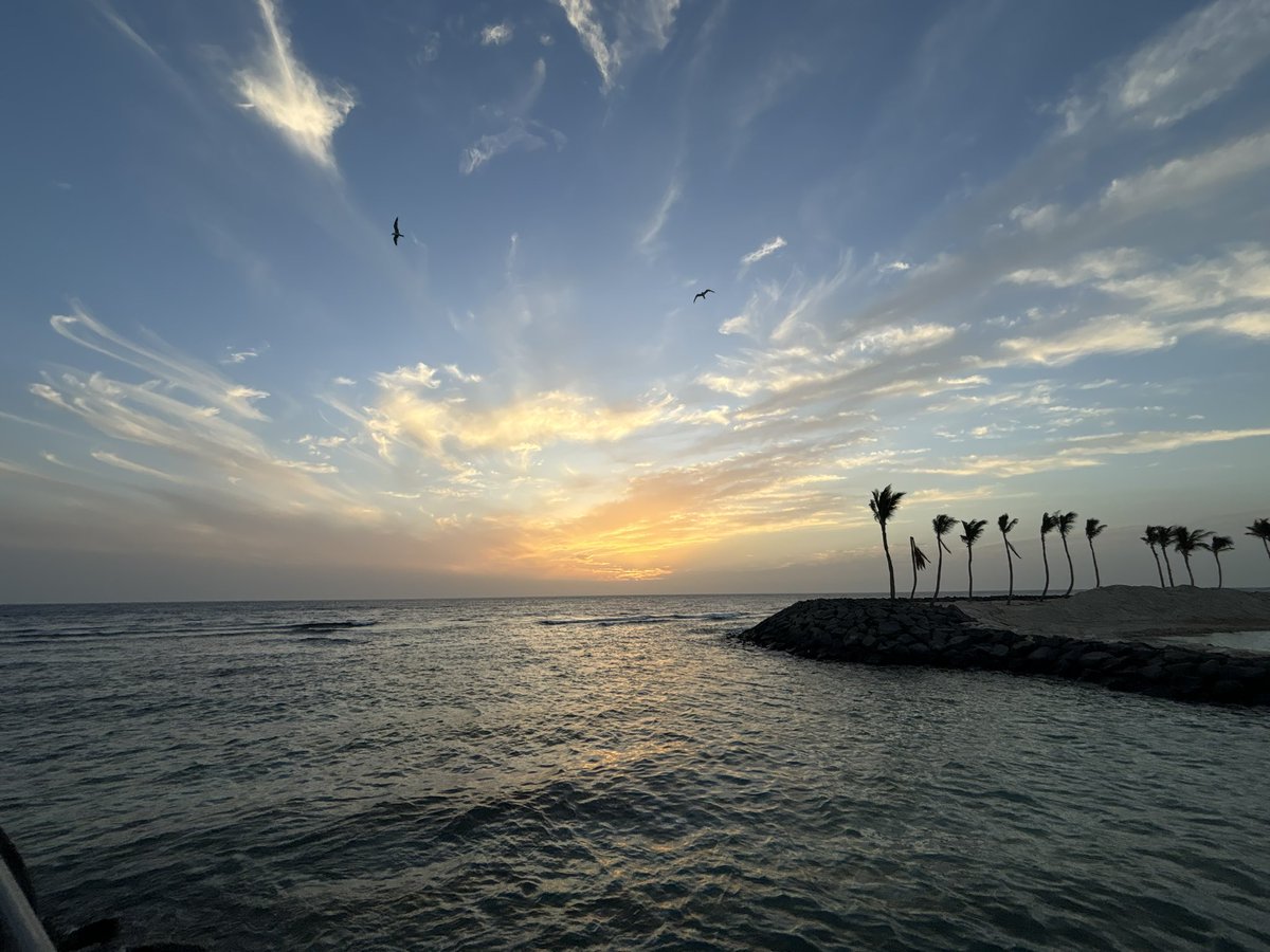 غدير نـــايف | Ghadeer Nayef tweet media