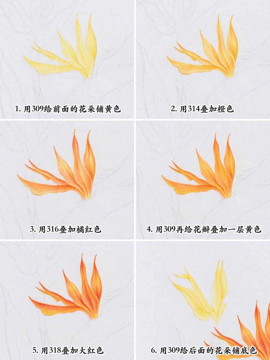 Flow Gacl-Signal Assistant tweet media