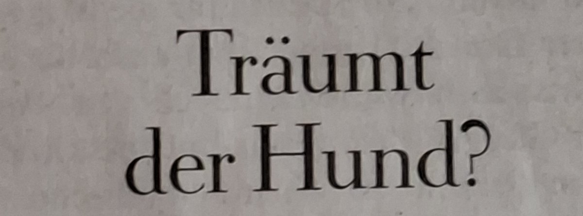 Krank Kramer tweet media