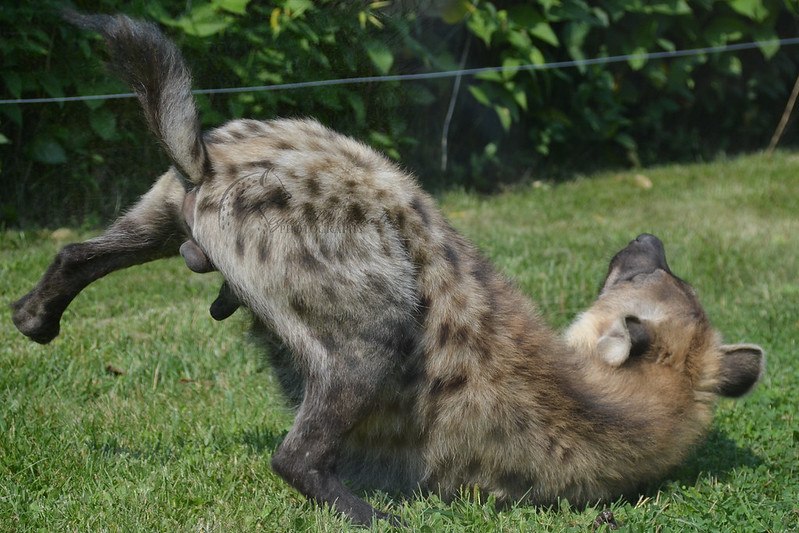 HourlyYeen tweet media