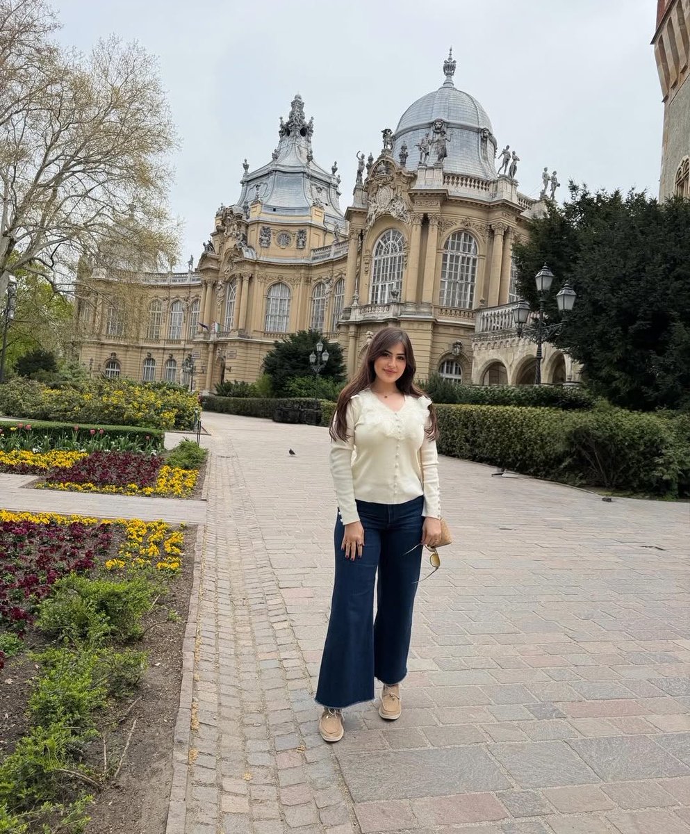 أرابيكا | Arabica tweet media