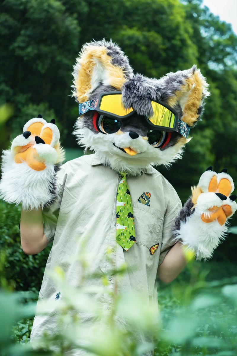小九 (@Furry_xiao9) / Posts / X