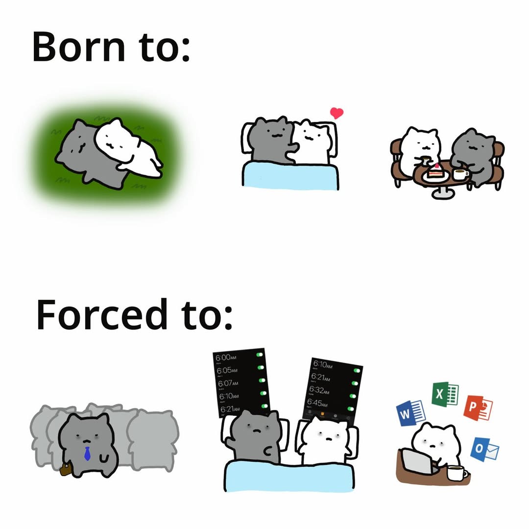 Mummy 💜 tweet media