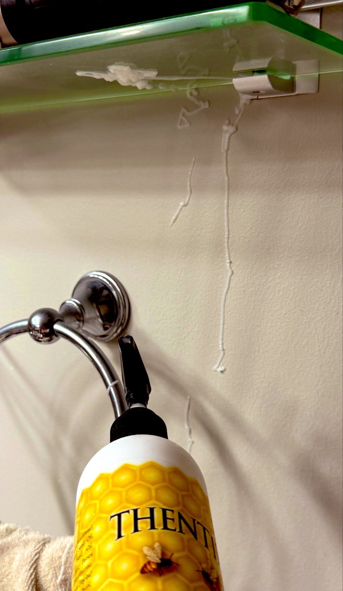 🧟‍♀️ Apocalypse Bait tweet media