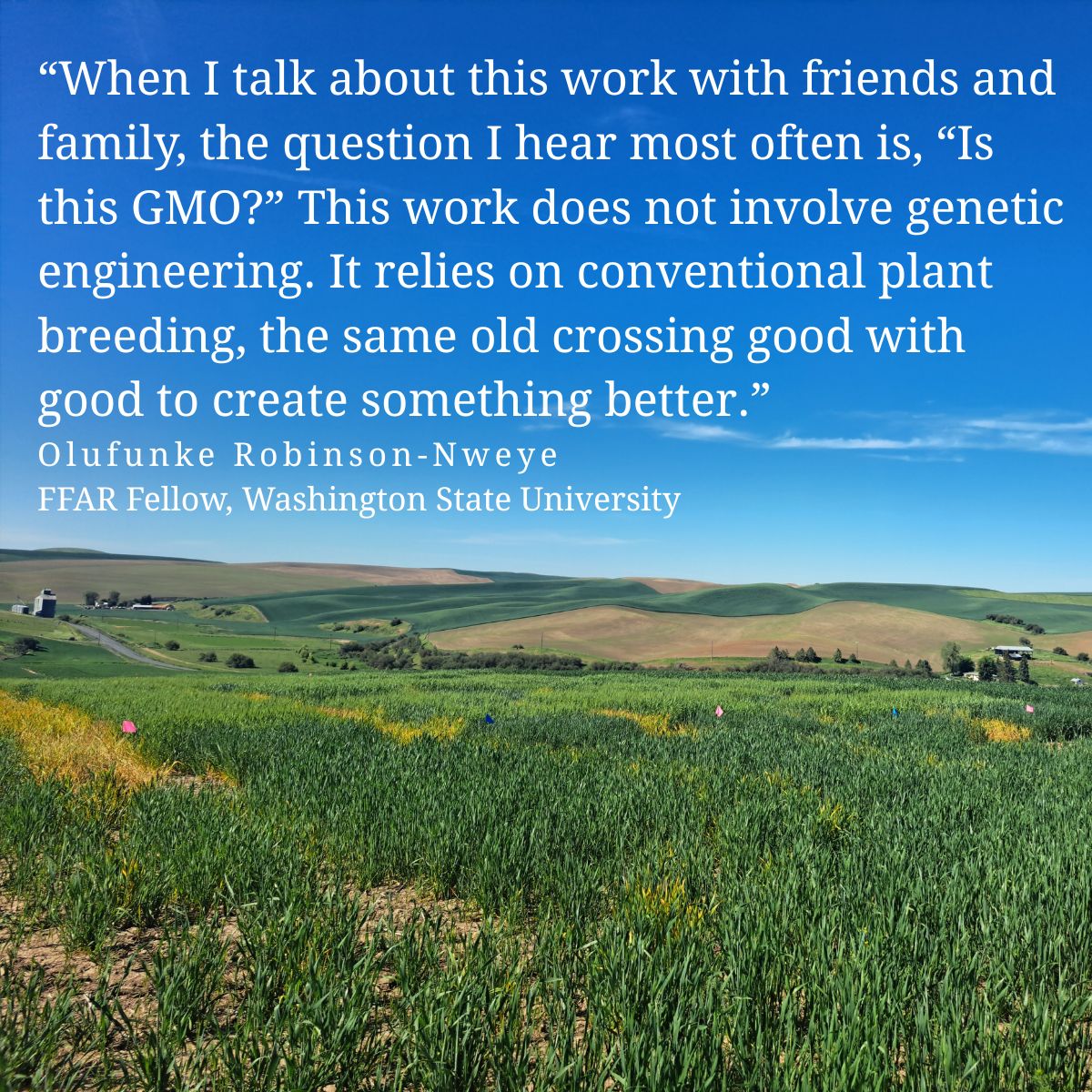 Foundation for Food & Agriculture Research (FFAR) tweet media