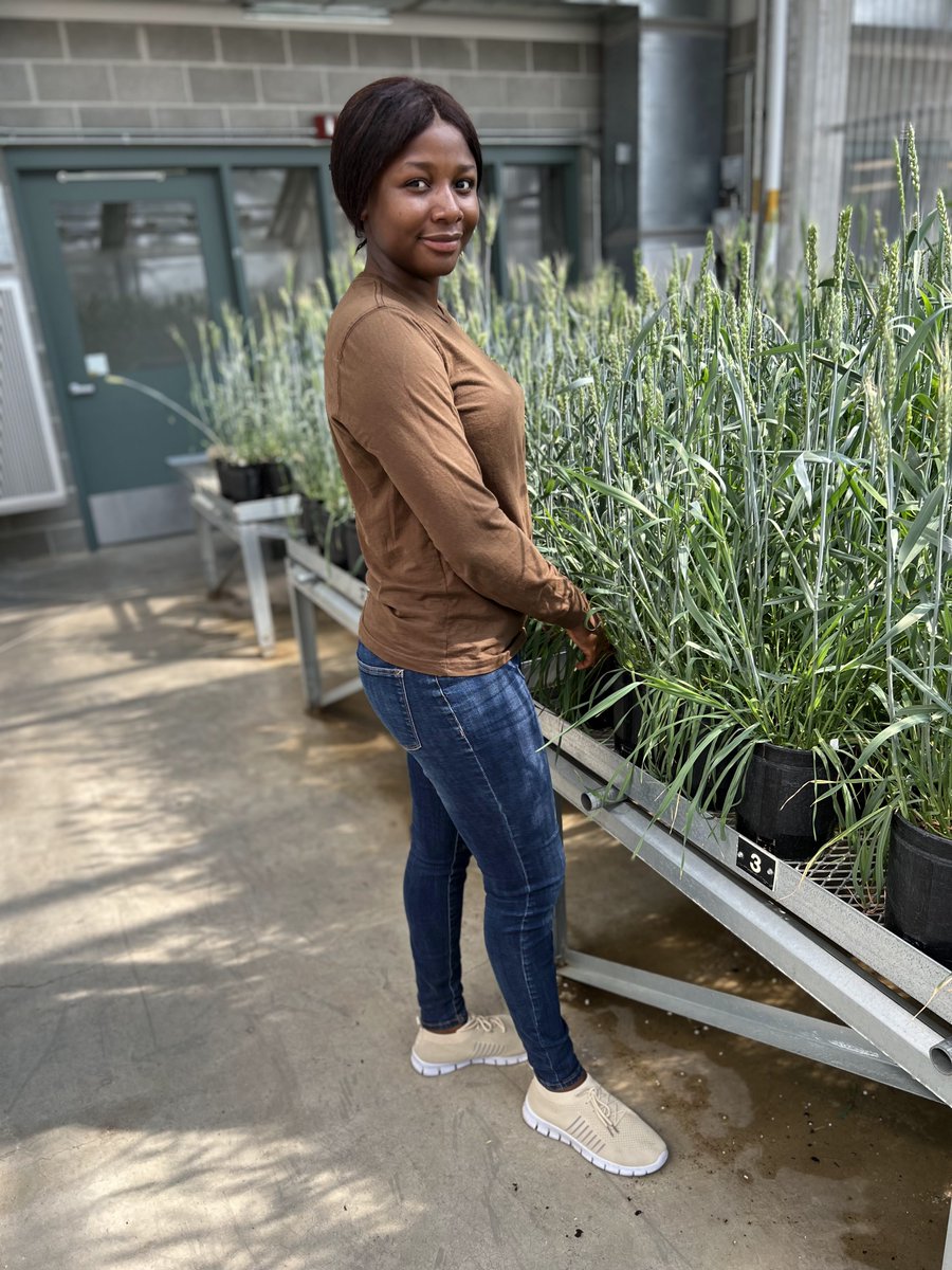 Foundation for Food & Agriculture Research (FFAR) tweet media