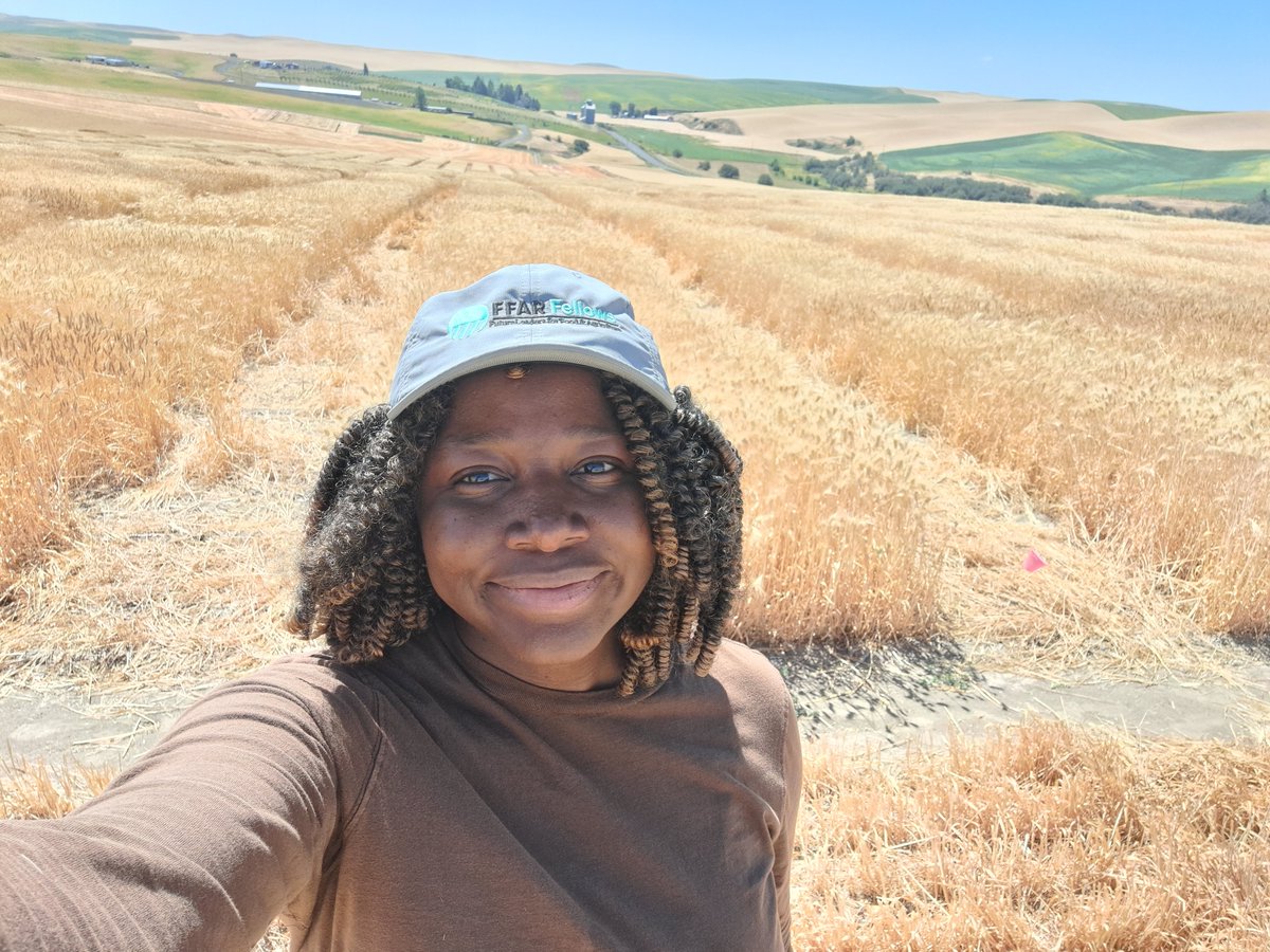 Foundation for Food & Agriculture Research (FFAR) tweet media