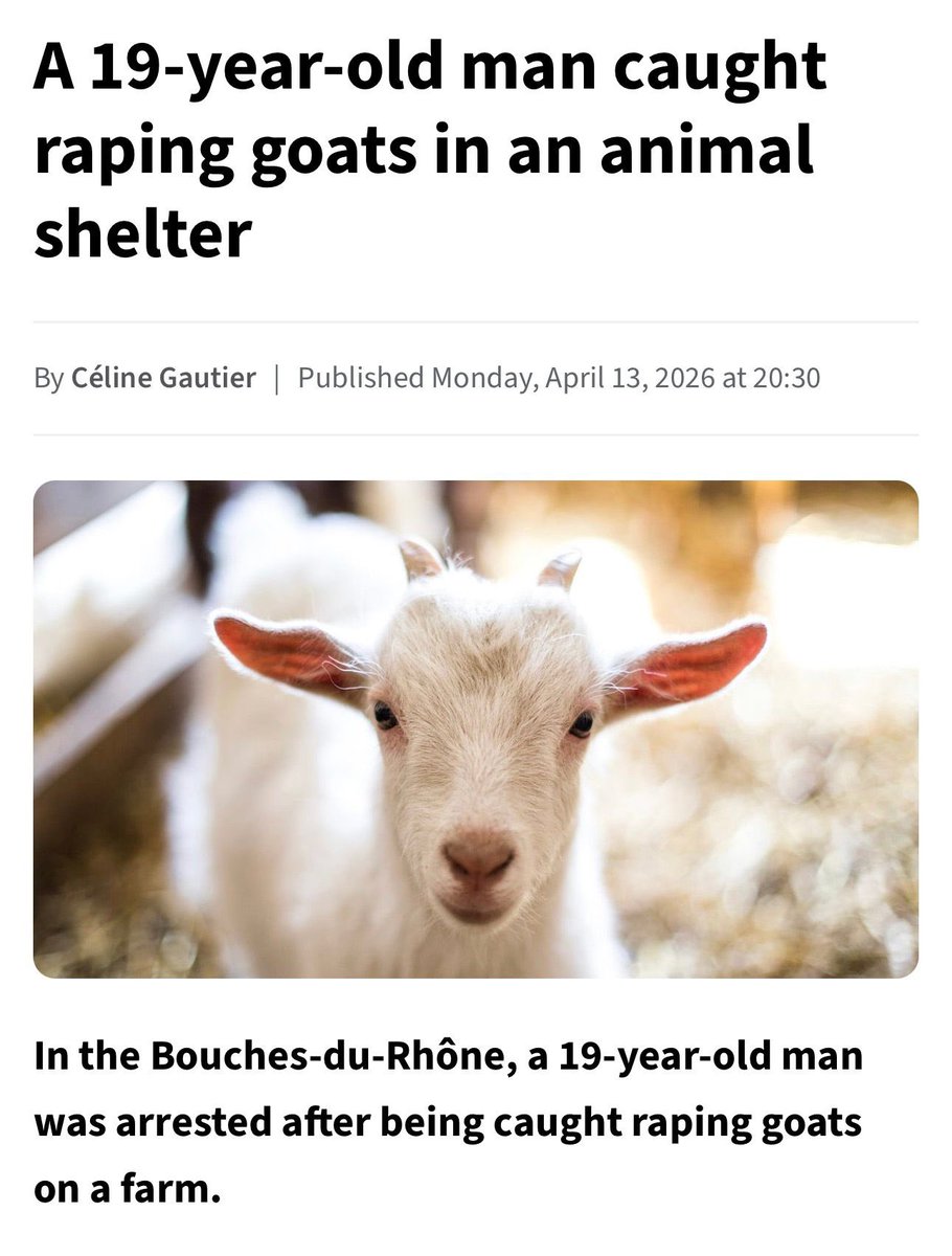 JamesPGoddard90's tweet photo. LEAVE THE FU**ING GOATS ALONE

An Afghan has appeared in court in France after raping multiple goats and a 5 month old lamb. 

Goats were raped as well as a lamb, tied up and gagged. Some animals have suffered serious abuse and injuries’ https://t.co/bkHjjHzLpN