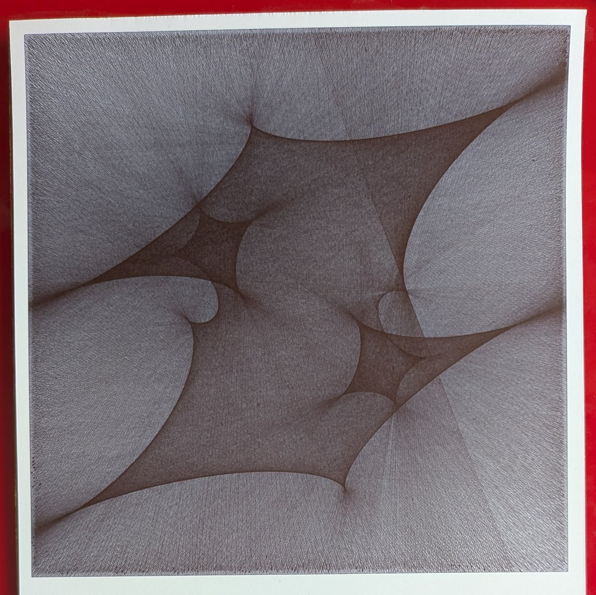 piterpasma tweet media